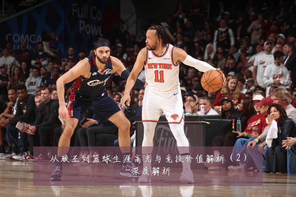 从狼王到篮球生涯高光与竞技价值解析(2)-深度解析